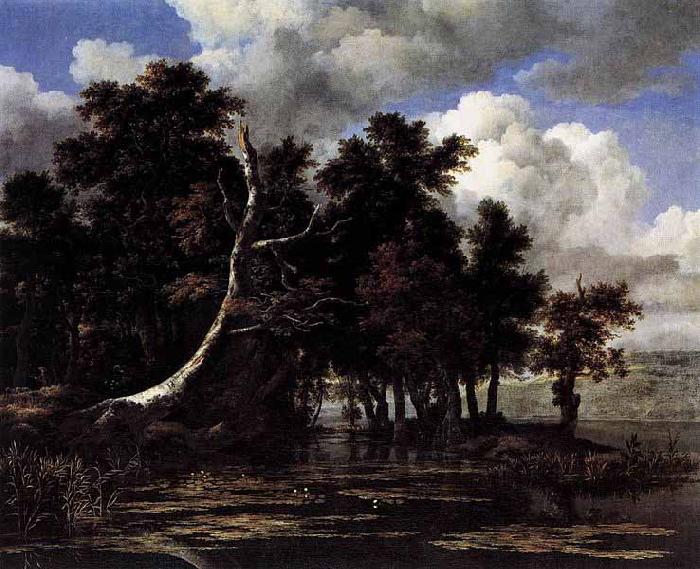 Jacob Isaacksz. van Ruisdael Oaks by a Lake with Waterlilies oil painting picture